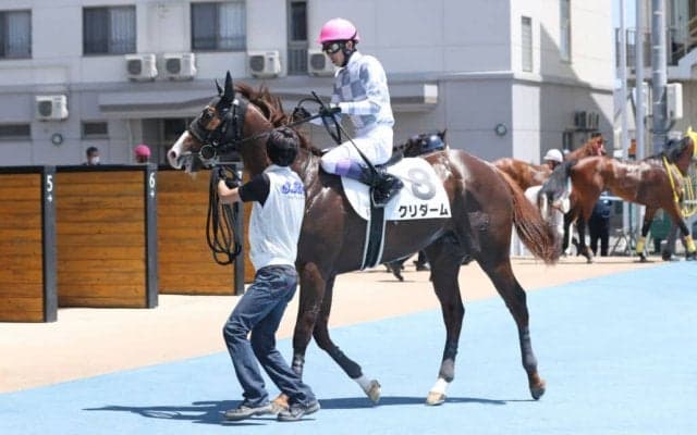 「クラブ初出走・初勝利」インゼルサラブレッドクラブ、新規募集開始  初年度から“重賞出走”達成…さらなる結果を--代表・大住拓哉氏に聞く