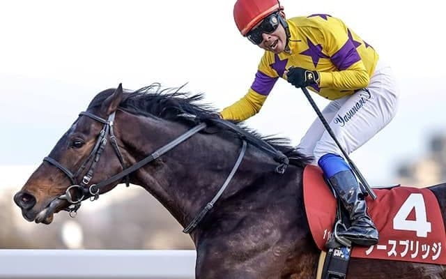 【AJCC】売上は74億7034万7000円で昨年から減少