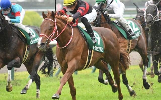 【AI予想・根岸S】本命候補は初ダート!? 混戦を断ち切る「砂の新星」が誕生か