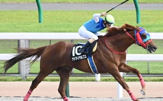 波乱の使者は名牝ダイナカール系!? 今週の重賞に出走する2頭に要注意