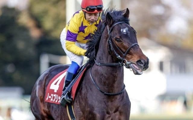 重賞2勝目を挙げたノースブリッジ 活躍馬を出すモーリスの成功パターンを併せ持つ