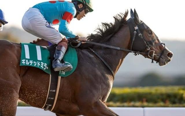 【根岸S展望】フェブラリーSの前哨戦、あの馬の連勝に期待したい