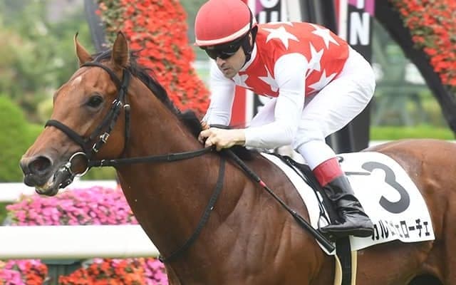  天国の祖母シーイズトウショウに捧げる一戦 新馬戦で後のGI馬を負かした若駒が2勝目へ