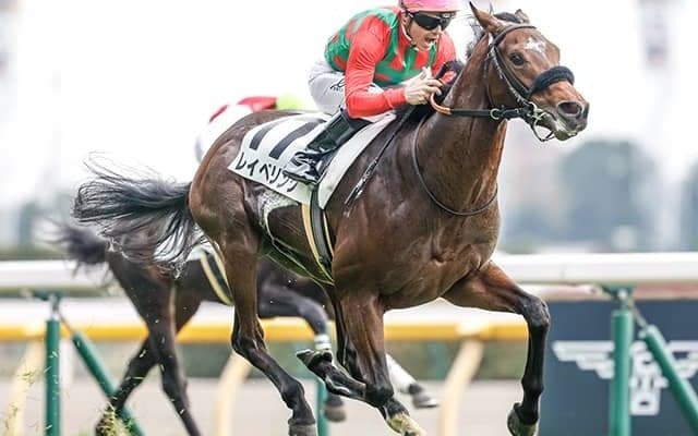 朝日杯FSで3着のレイベリング 共同通信杯はM.デムーロ騎手との新コンビ