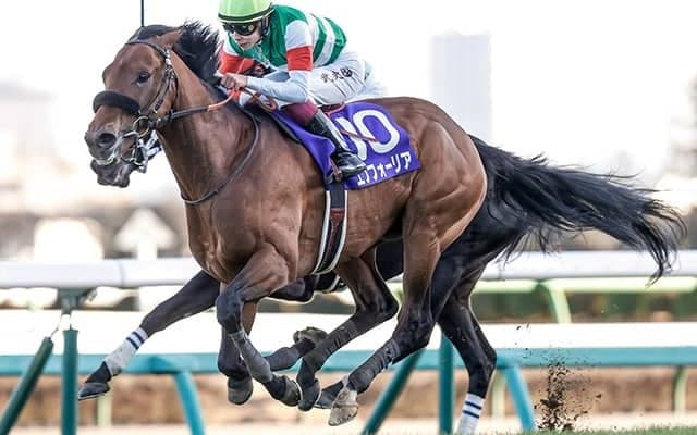 エフフォーリアが帰厩 来月の京都記念に向けて準備開始