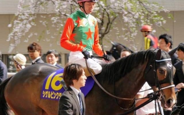 落札価格は1億5000万円 シゲルピンクダイヤが繁殖馬セリ史上最高価格を大幅に更新