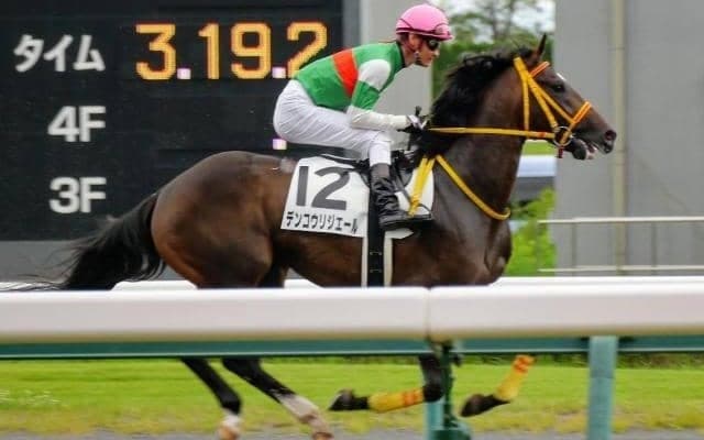 父メイショウボーラーは05年覇者 デンコウリジエールが父仔制覇を目指し根岸Sで重賞初挑戦