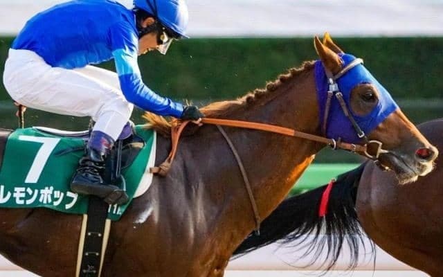 JRAダート重賞で1番人気が10連敗中！ 不動の主役が根岸Sで“連鎖”を断ち切る