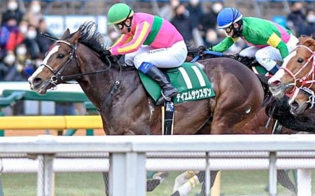 テイエムサウスダン＆ヘリオスに逆風データあり！ 根岸Sで昨年ワンツー