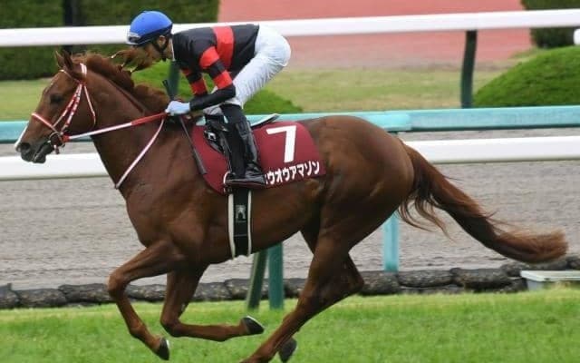 【根岸S予想】AIが指名したのはまさかの穴馬!? 不安要素を覆す激走なるか