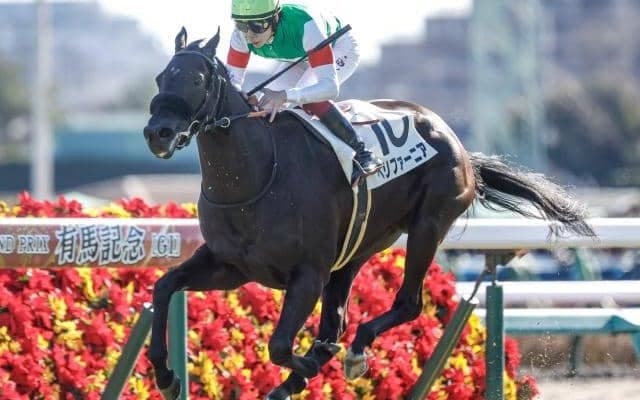 エフフォーリアの半妹がチューリップ賞を視野に 有馬記念デーの新馬戦で2馬身差V