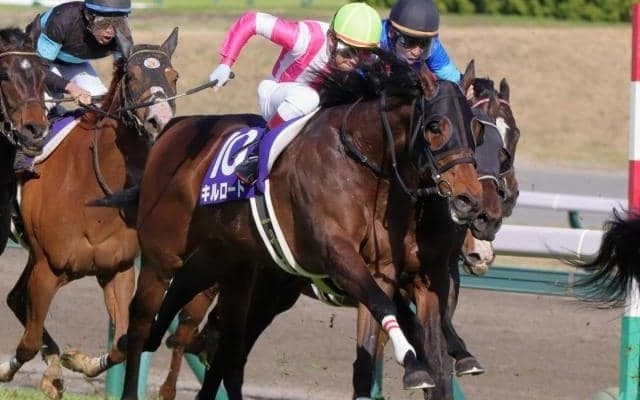 8歳キルロード 4年2カ月ぶりの高齢馬スプリント重賞Vなるか