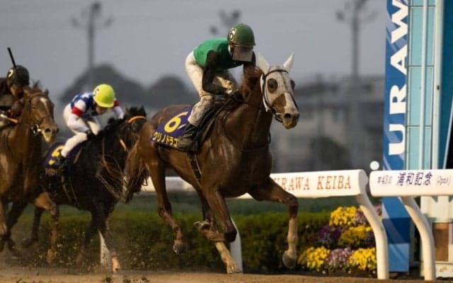 クリノドラゴンが故障