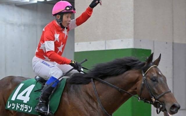 【JRA】レッドガランが登録抹消、乗馬に 7歳時に重賞2勝