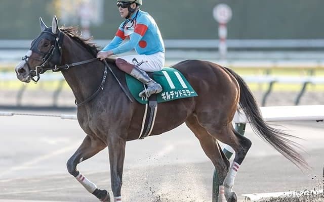 【根岸S予想】軸は決め手充分な“末脚自慢”を狙え！データが示す勝利への必要条件とは