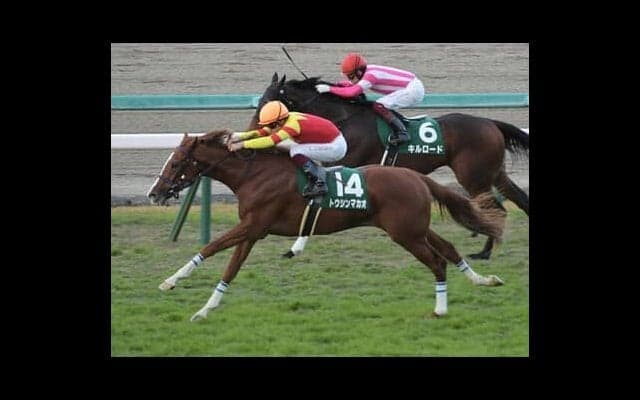 シルクロードＳは「2021年以降の芝1200ｍ」の種牡馬別成績で絞る。注目は、芝短距離で飛躍しそうな２頭