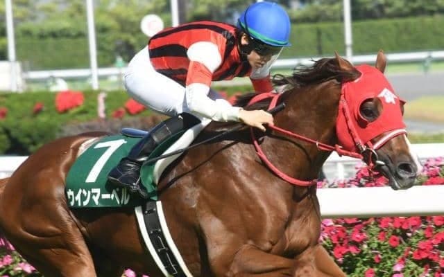 【シルクロードS枠順確定】ナムラクレアは2枠2番、ウインマーベルは8枠14番