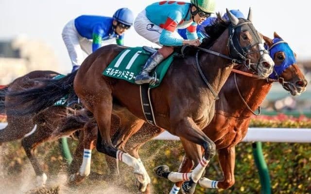 【根岸S枠順確定】レモンポップは7枠13番、ギルデッドミラーは3枠6番