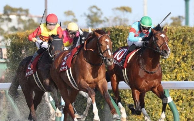 【東海S】ムルザバエフ騎乗 プロミストウォリアが重賞初制覇…ヴァンヤールはスタートで落馬