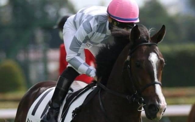 攻めでテイエムサウスダンを圧倒！ シャーンゴッセがダートで一変だ