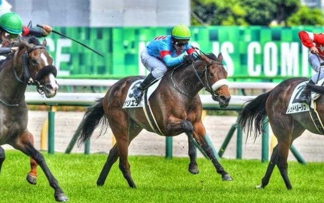 東京芝はディープインパクト産駒の天下！ サリエラは負けられない