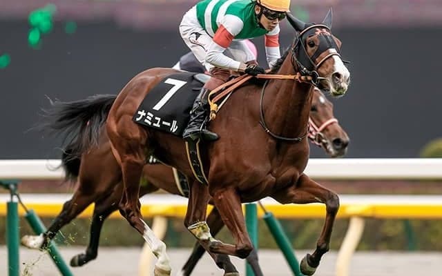 ナミュールやウインカーネリアンなど東京新聞杯に19頭