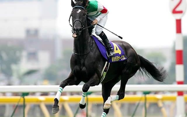 日米オークスを制した名牝”最後の仔” 兄にGI馬3頭の超良血馬が28日東京で初陣