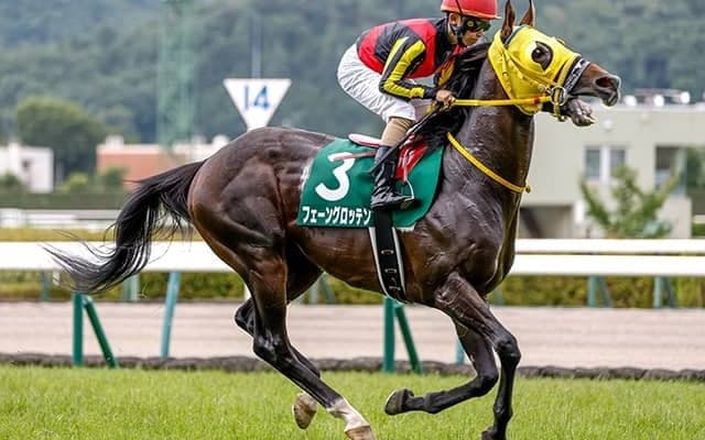 復帰待たれるスプリンターの弟 金鯱賞で重賞2勝目狙う