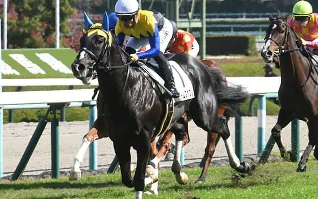 フリームファクシやオープンファイアなどきさらぎ賞に8頭