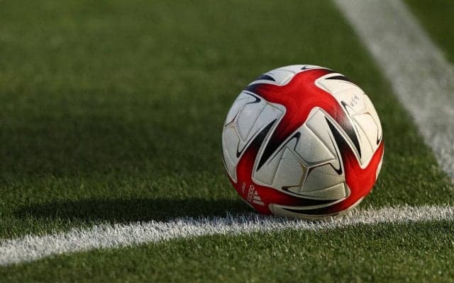 JFLの2チームが名称変更、ホンダロックSCが「ミネベアミツミFC」、MIOびわこ滋賀が「レイラック滋賀」に