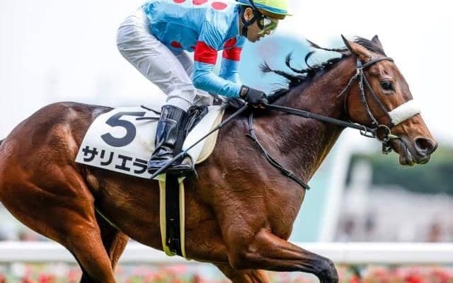 【今日の注目ポイント】東京開催が開幕 メインの白富士Sでサリエラ始動