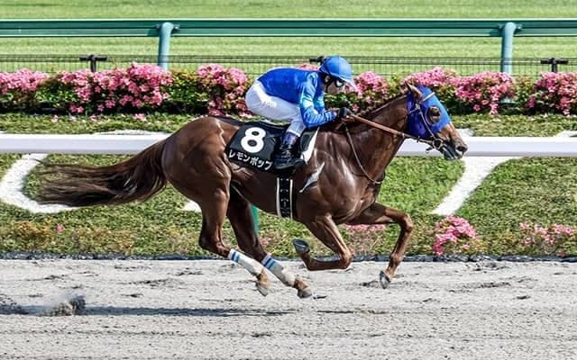 【根岸S予想】レース傾向が逆転!? 海外挑戦の増加で浮かび上がる狙い馬とは