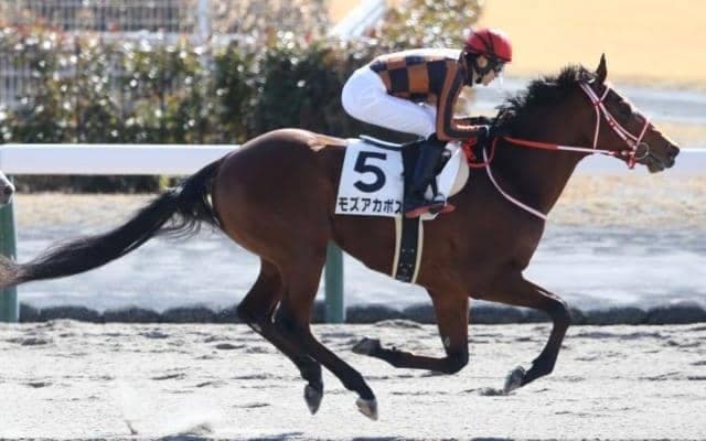 【中京4R新馬戦結果】モズアスコットの半弟モズアカボスが白星発進