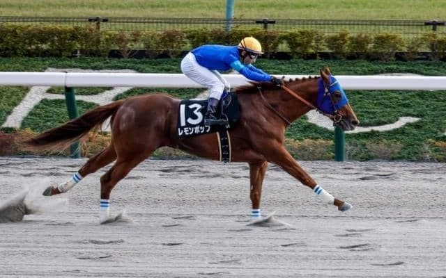 【根岸S前日オッズ】レモンポップが1.7倍で1番人気