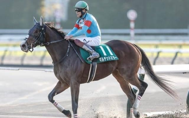 【根岸S予想】人気薄の好走に共通点。前走着順は要チェック