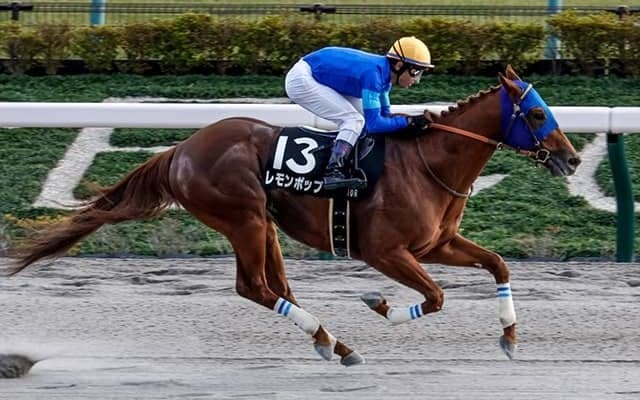 【AI予想・根岸S】ダートのスペシャリストが巻き返す！ 舞台替わりで逆転可能か