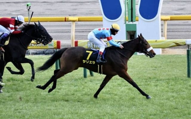 【白富士S】良血サリエラが差し切りV…ルメール騎手は本日6勝目