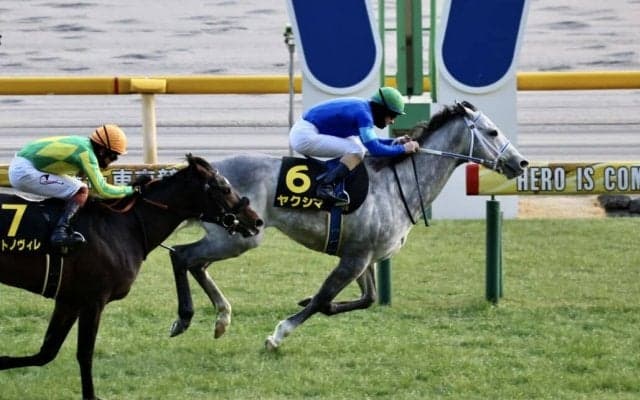 【クロッカスS】外国産ヤクシマが抜け出してオープン初勝利