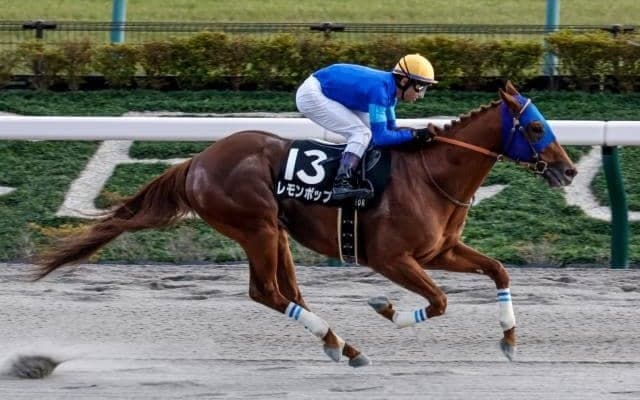 【今日の注目ポイント】東京でフェブラリーS前哨戦の根岸S、中京ではシルクロードS