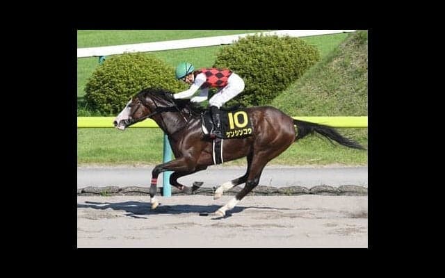 根岸Ｓは本気度高いスペシャリストが中心も、穴党記者が期待するのはＧＩ級の底力を秘めた伏兵２頭の一発逆転