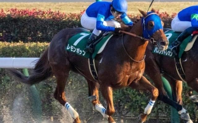 【根岸S予想】フェブラリーSへの優先出走権を懸けた最重要のステップレース