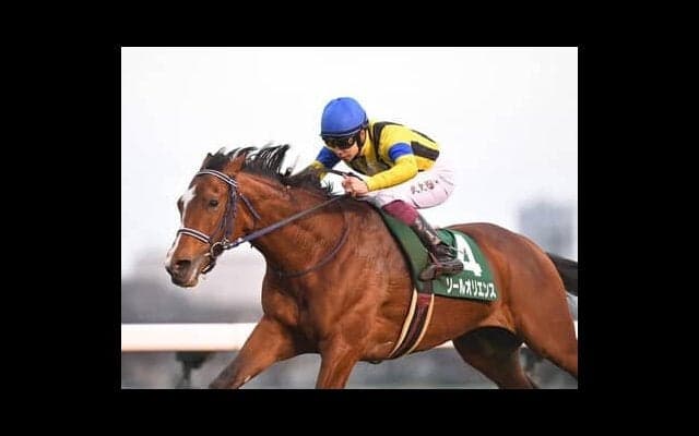 混戦の３歳牡馬戦線に登場した期待の「新星」ソールオリエンス。陣営も「最初から”走る馬”だと思っていた」と絶賛