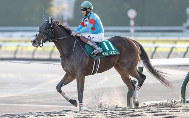 【根岸S予想】5・8枠不利＆4・10・12・16番は死に目？ ローテから絞れる好走パターン馬はどれだ？