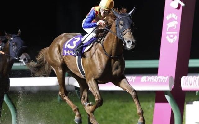 【川崎記念枠順確定】テーオーケインズは3枠3番、ウシュバテソーロは5枠5番