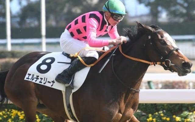 【中京6R新馬戦結果】ファンディーナの娘エルチェリーナが接戦を制す