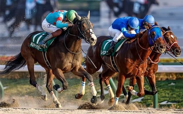 【根岸S・馬体重】レモンポップは522kg(+4)、ギルデッドミラーは496kg(+6)