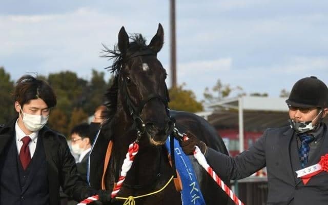 【JRA・WIN5】人気馬の勝利が続き的中1万7191票、配当2万9690円