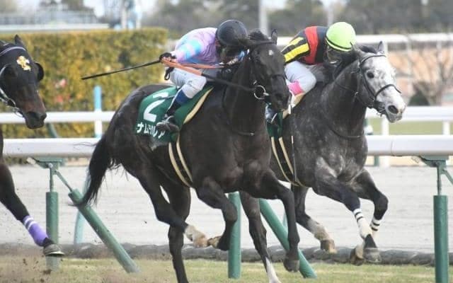 【シルクロードS結果】ナムラクレアが競り合いを制して重賞3勝目