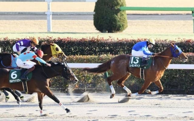 【根岸S】断然人気レモンポップが重賞初制覇