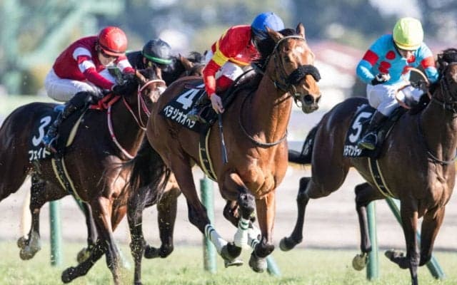 【セントポーリア賞】ベラジオオペラがデビュー2連勝
